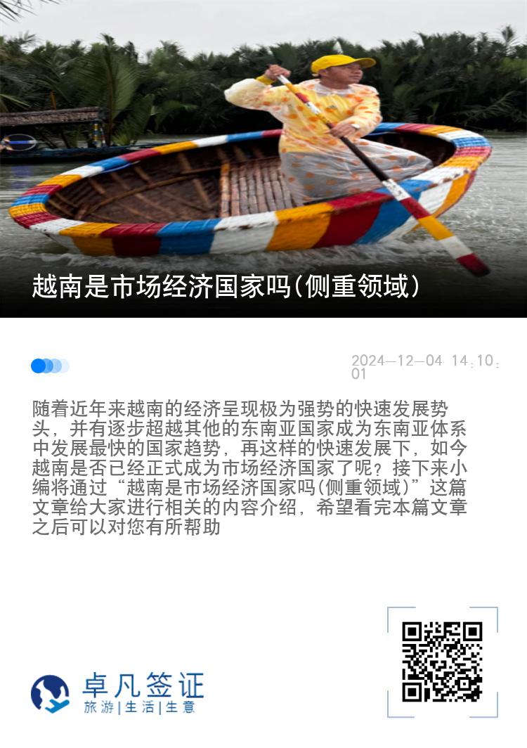 越南是市场经济国家吗(侧重领域)