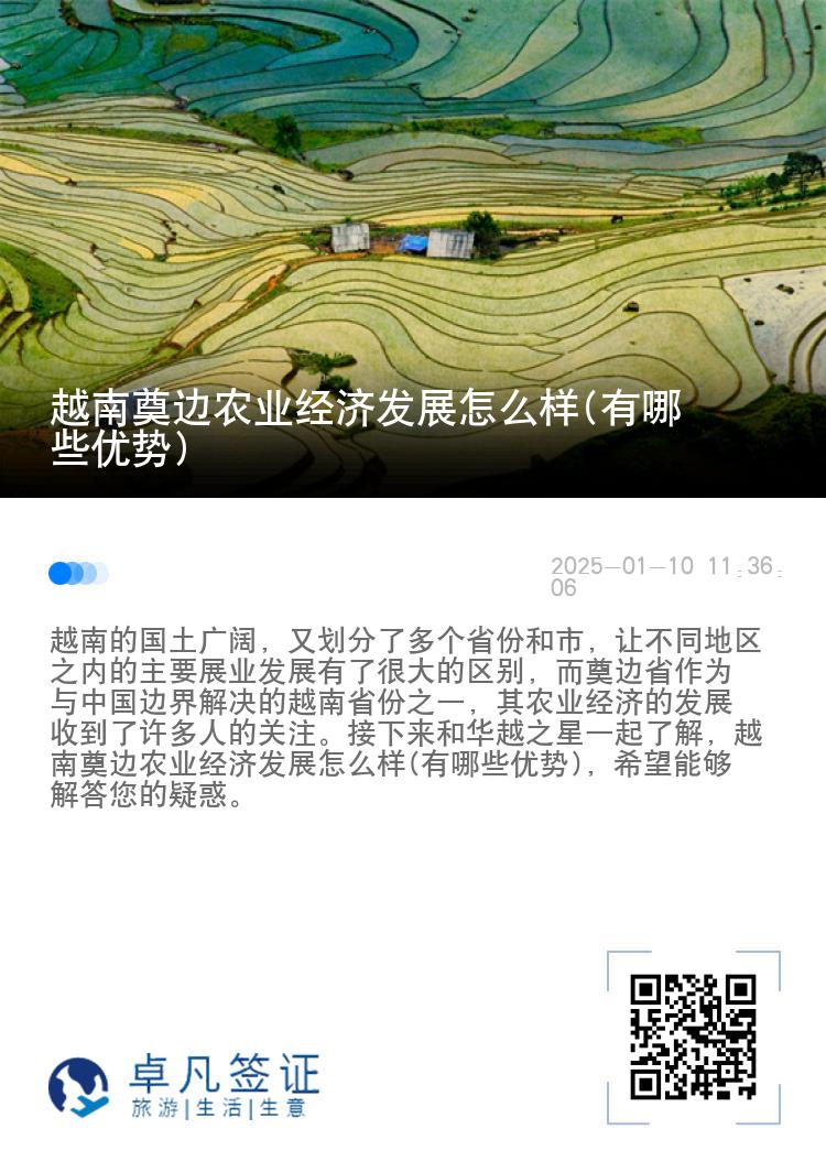 越南奠边农业经济发展怎么样(有哪些优势)
